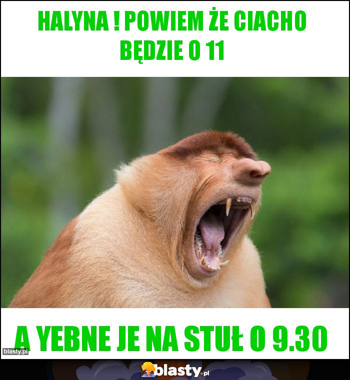 Halyna ! powiem że ciacho będzie o 11 Halyna ! powiem że ciacho będzie o 11