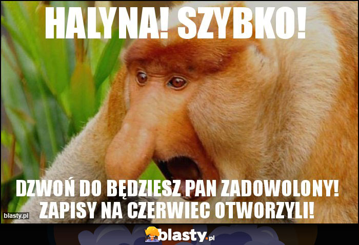 HALYNA! SZYBKO! HALYNA! SZYBKO!