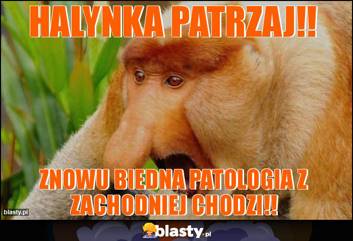 Halynka patrzaj!! Halynka patrzaj!!