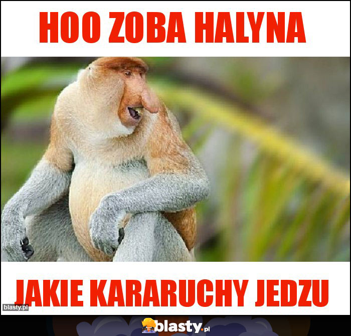 hoo zoba Halyna hoo zoba Halyna