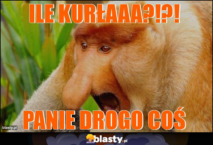Ile kurłaaa?!?! Ile kurłaaa?!?!