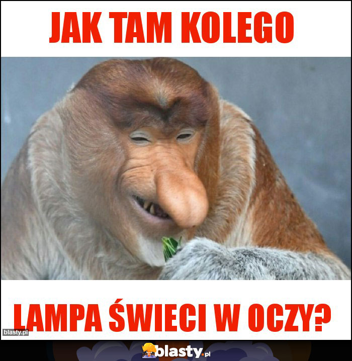 Jak tam kolego Jak tam kolego