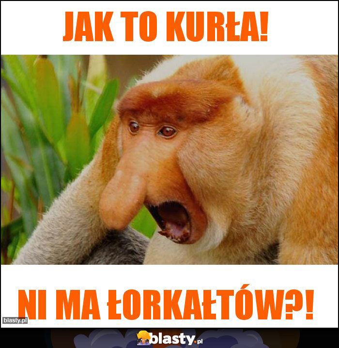 Jak to kurła! Jak to kurła!