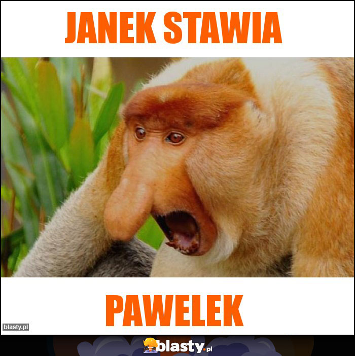 Janek stawia Janek stawia