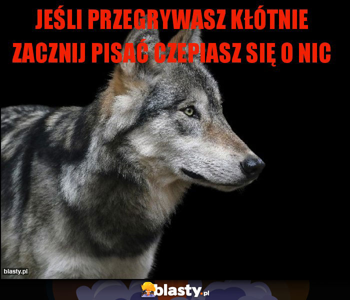 Jeśli przegrywasz kłótnie zacznij pisać czepiasz się o nic Jeśli przegrywasz kłótnie zacznij pisać czepiasz się o nic