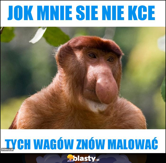 jok mnie sie nie kce jok mnie sie nie kce