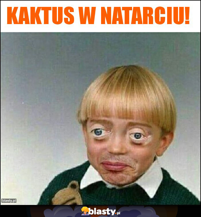 kaktus w natarciu!