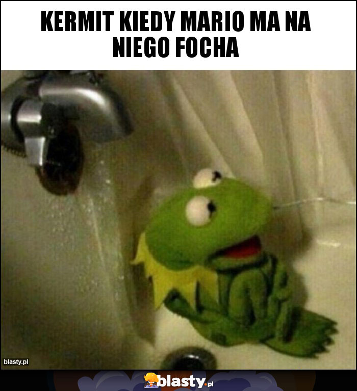 Kermit kiedy mario ma na niego focha Kermit kiedy mario ma na niego focha