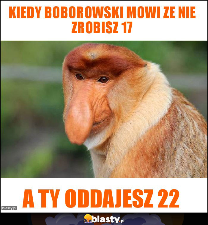 kiedy boborowski mowi ze nie zrobisz 17 kiedy boborowski mowi ze nie zrobisz 17