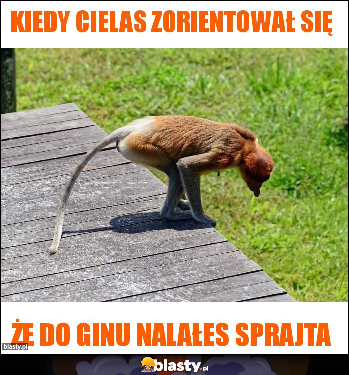Kiedy Cielas zorientował się Kiedy Cielas zorientował się