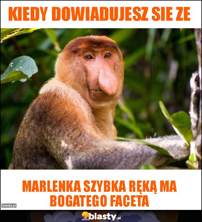 Kiedy dowiadujesz sie ze Kiedy dowiadujesz sie ze