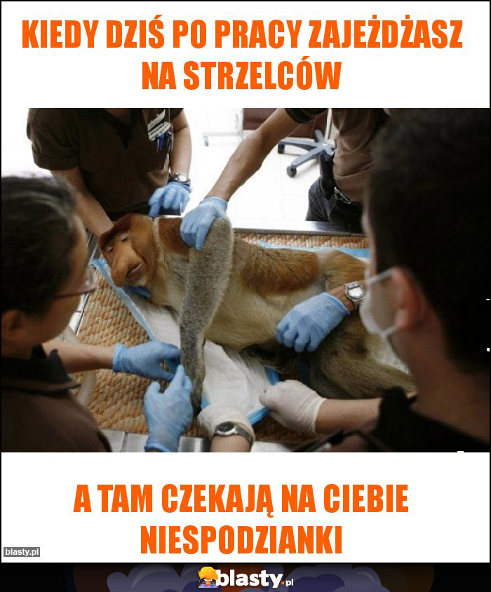 Kiedy Dziś po pracy zajeżdżasz na strzelców Kiedy Dziś po pracy zajeżdżasz na strzelców