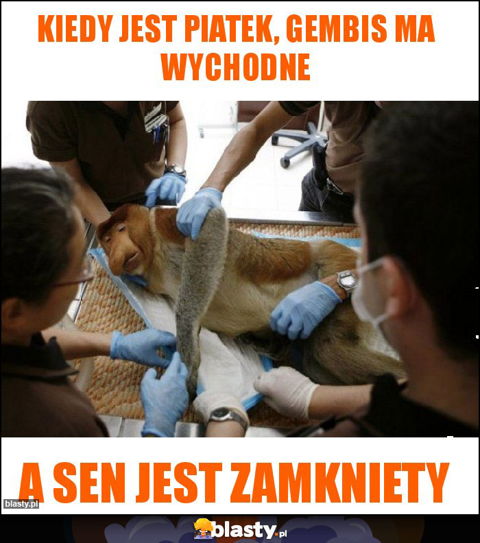 Kiedy Jest piatek, Gembis ma wychodne Kiedy Jest piatek, Gembis ma wychodne