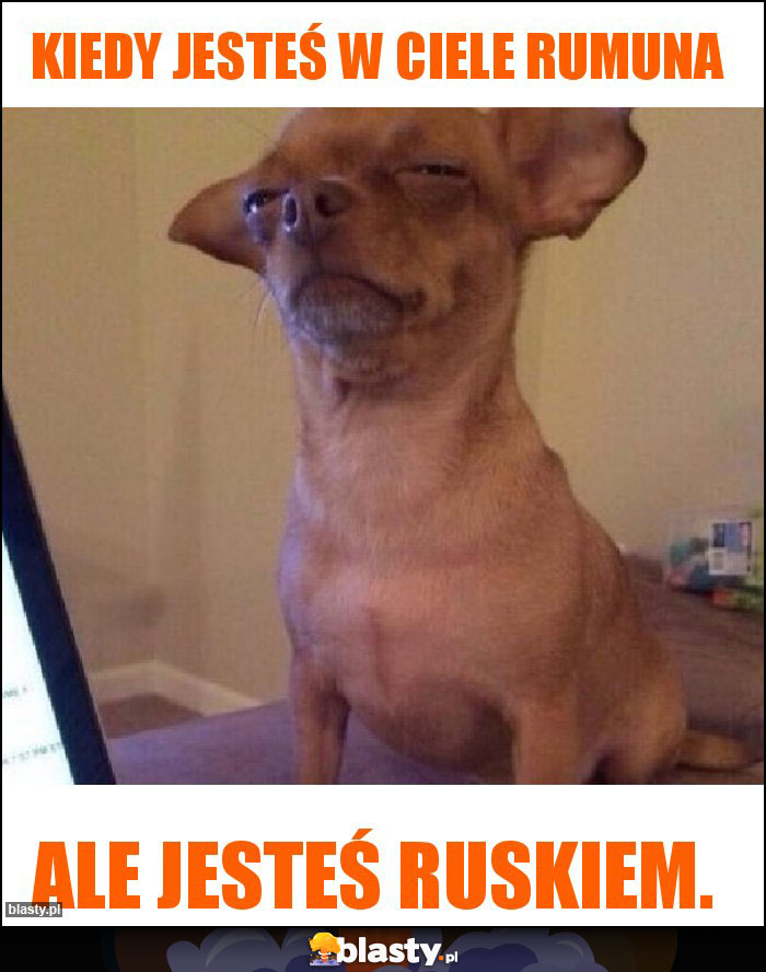 kiedy jesteś w ciele rumuna kiedy jesteś w ciele rumuna