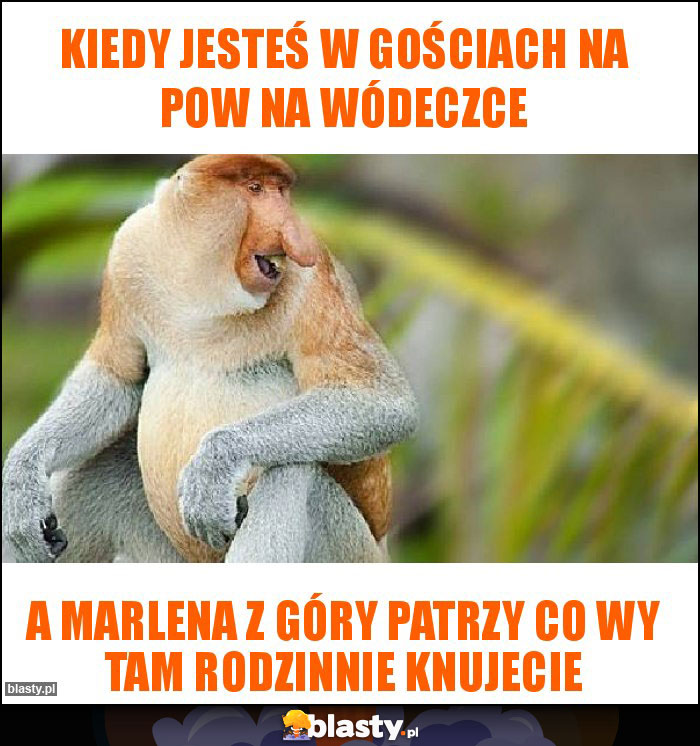 Kiedy jesteś w Gościach na POW na wódeczce Kiedy jesteś w Gościach na POW na wódeczce