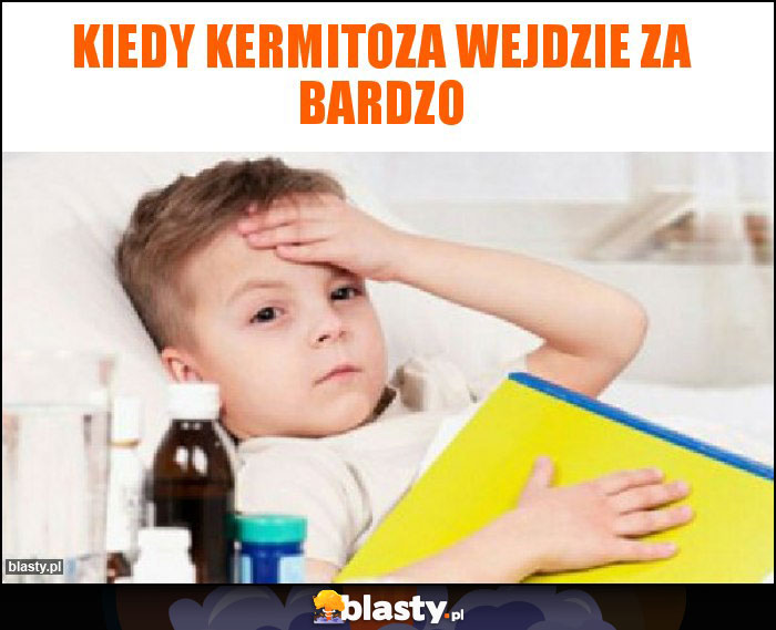 Kiedy kermitoza wejdzie za bardzo Kiedy kermitoza wejdzie za bardzo