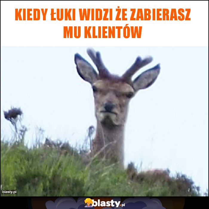 Kiedy łuki widzi że zabierasz mu klientów Kiedy łuki widzi że zabierasz mu klientów