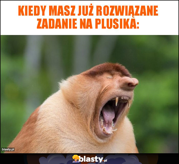 Kiedy masz już rozwiązane zadanie na plusika: Kiedy masz już rozwiązane zadanie na plusika: