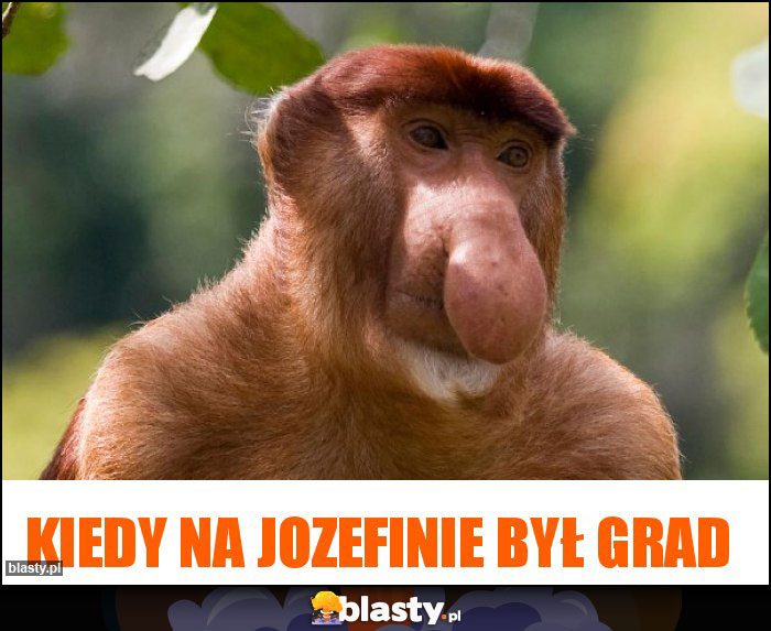 Kiedy na Jozefinie był grad Kiedy na Jozefinie był grad