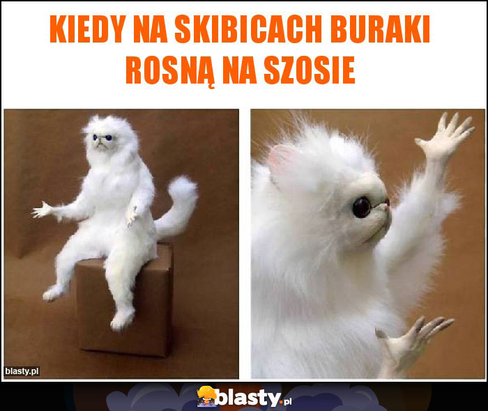 Kiedy na skibicach buraki rosną na szosie Kiedy na skibicach buraki rosną na szosie