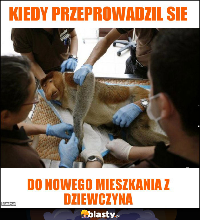 Kiedy przeprowadzil sie Kiedy przeprowadzil sie