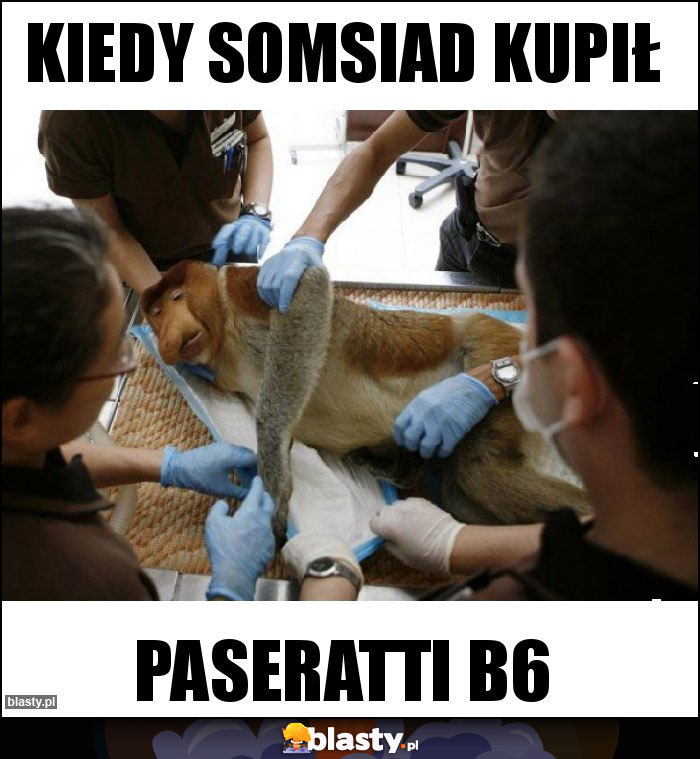 Kiedy somsiad kupił Kiedy somsiad kupił