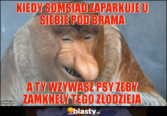 kiedy Somsiad zaparkuje u siebie pod brama kiedy Somsiad zaparkuje u siebie pod brama