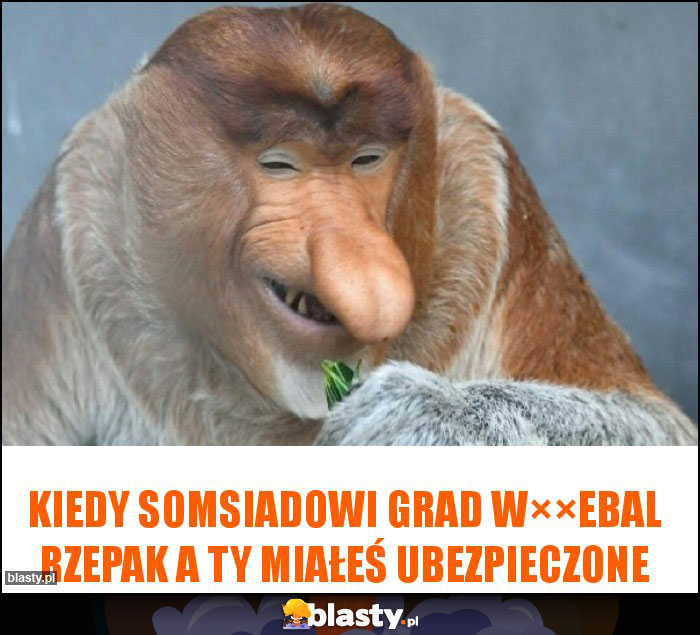 Kiedy somsiadowi grad w××ebal rzepak a Ty miałeś ubezpieczone Kiedy somsiadowi grad w××ebal rzepak a Ty miałeś ubezpieczone