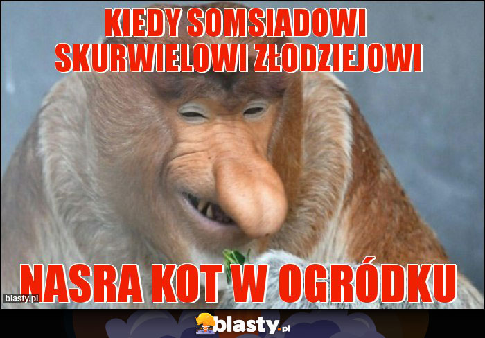 kiedy somsiadowi skurwielowi złodziejowi kiedy somsiadowi skurwielowi złodziejowi