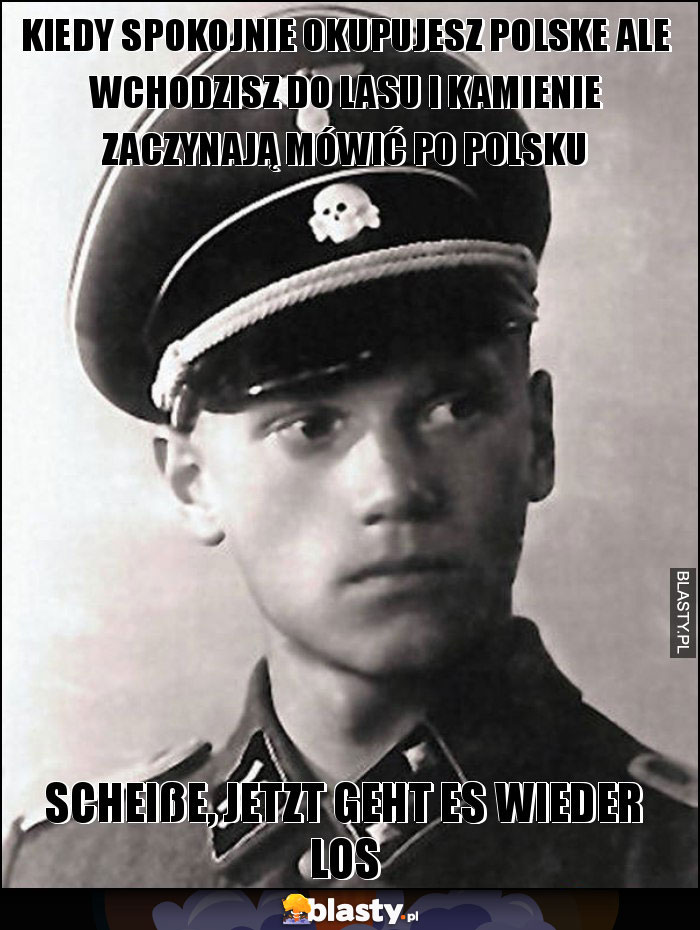 Kiedy spokojnie okupujesz polske ale wchodzisz do lasu i kamienie zaczynają mówić po polsku Kiedy spokojnie okupujesz polske ale wchodzisz do lasu i kamienie zaczynają mówić po polsku