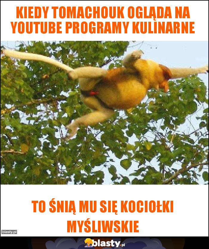 Kiedy Tomachouk ogląda na Youtube programy kulinarne Kiedy Tomachouk ogląda na Youtube programy kulinarne