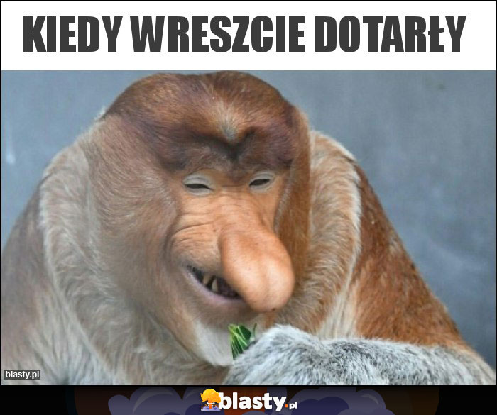 Kiedy wreszcie dotarły Kiedy wreszcie dotarły