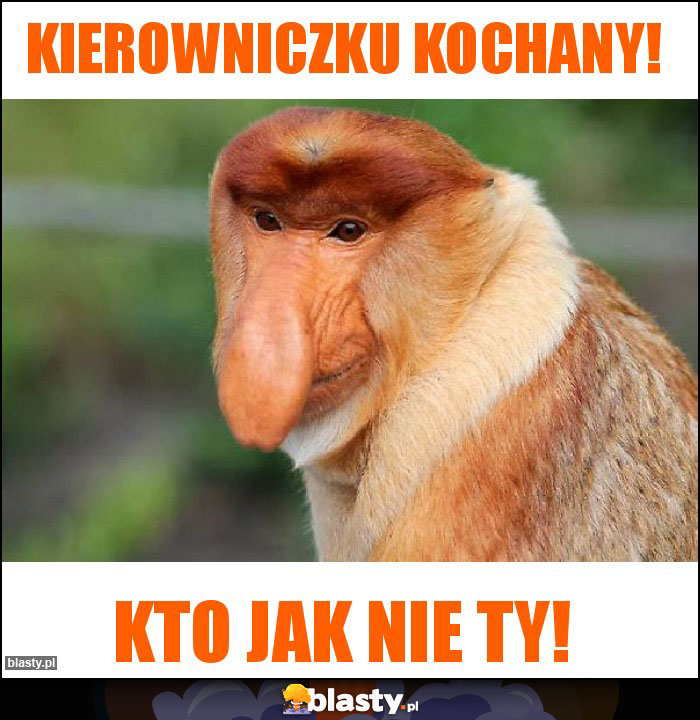 KIEROWNICZKU KOCHANY! KIEROWNICZKU KOCHANY!