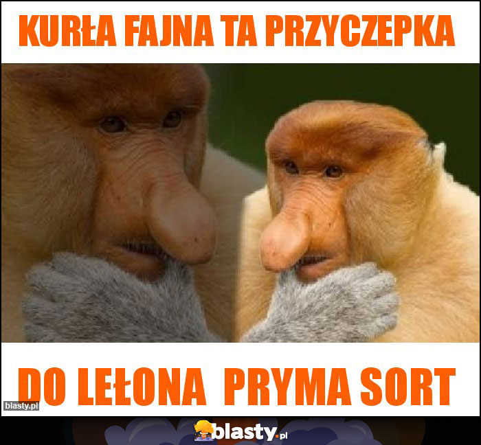 Kurła fajna ta przyczepka Kurła fajna ta przyczepka