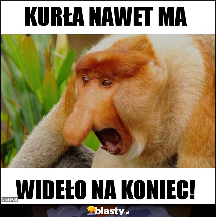 Kurła nawet ma Kurła nawet ma