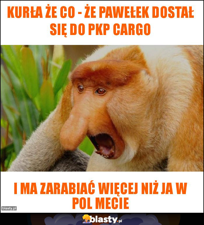 Kurła że co - że Pawełek dostał się do PKP cargo Kurła że co - że Pawełek dostał się do PKP cargo