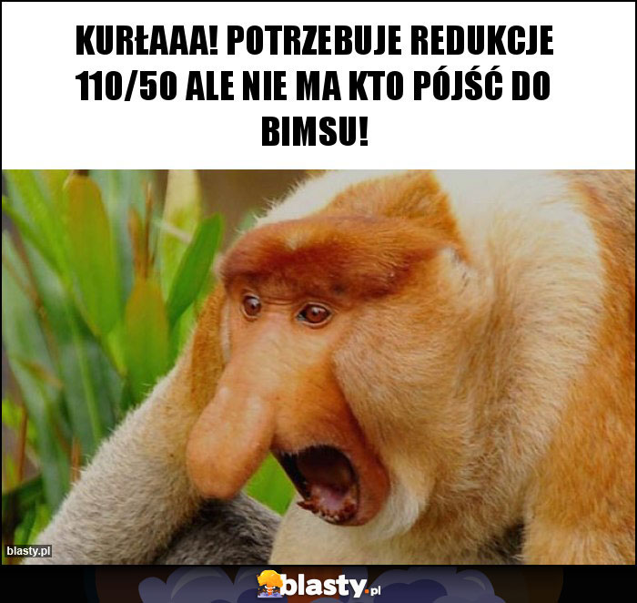 Kurłaaa! Potrzebuje redukcje 110/50 ale nie ma kto pójść do bimsu! Kurłaaa! Potrzebuje redukcje 110/50 ale nie ma kto pójść do bimsu!