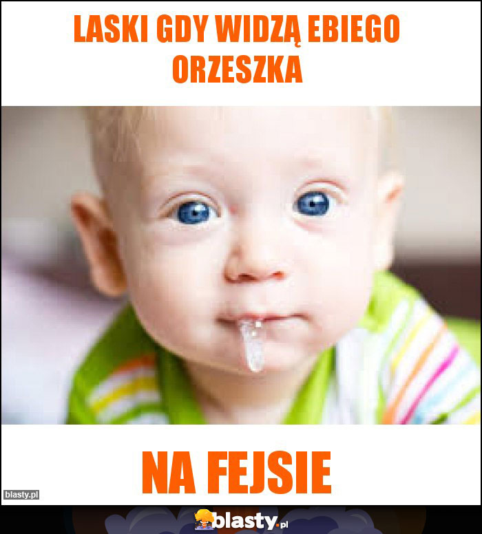 Laski gdy widzą Ebiego orzeszka