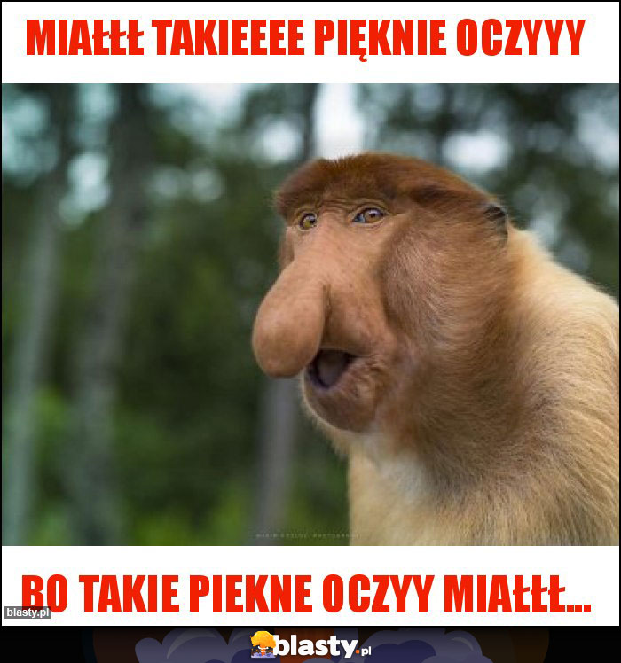 Miałłł takieeee pięknie oczyyy Miałłł takieeee pięknie oczyyy