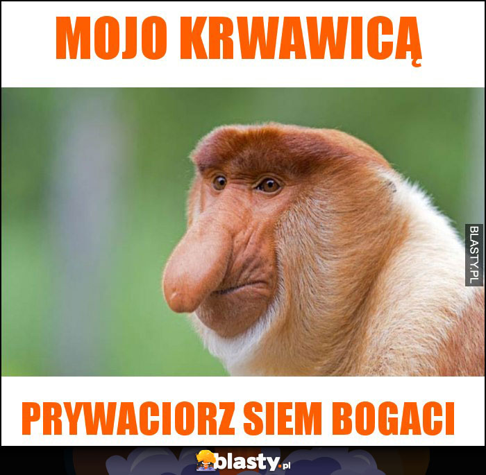 Mojo krwawicą Mojo krwawicą