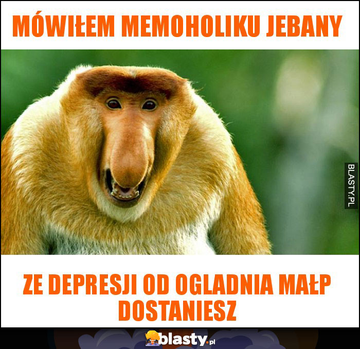 Mówiłem memoholiku jebany Mówiłem memoholiku jebany