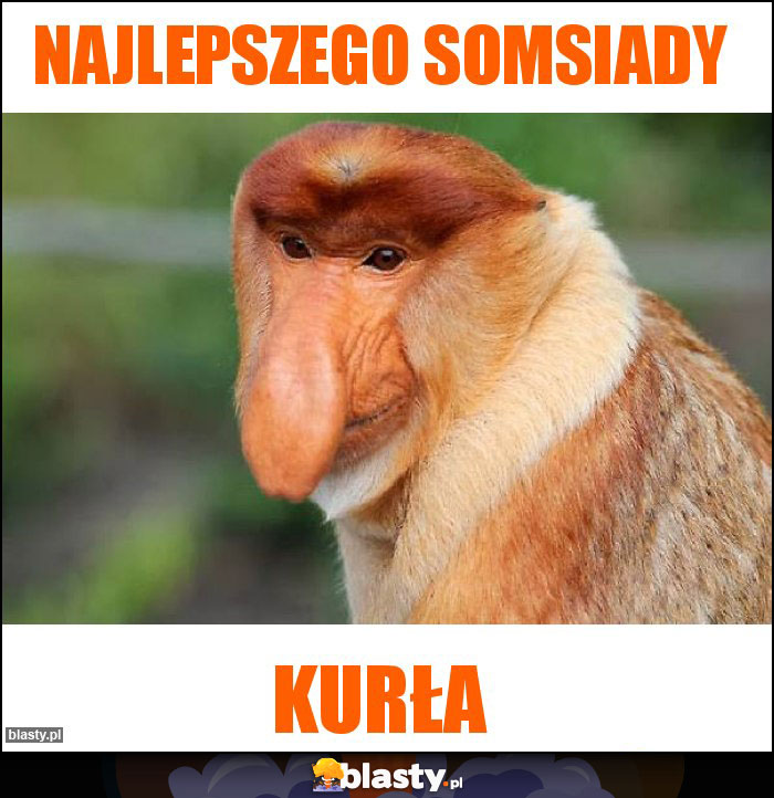 Najlepszego Somsiady Najlepszego Somsiady