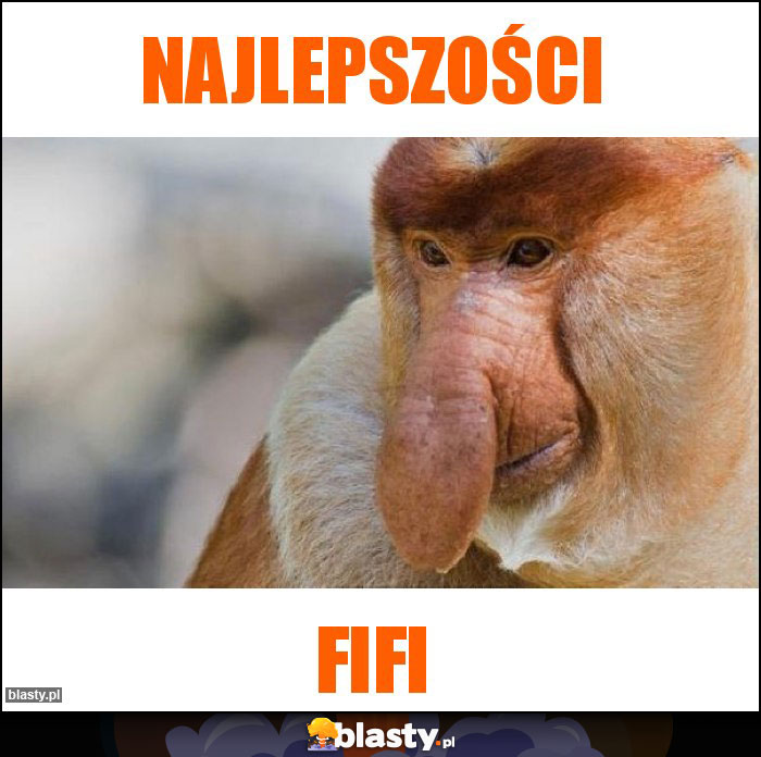 NAJLEPSZOŚCI NAJLEPSZOŚCI