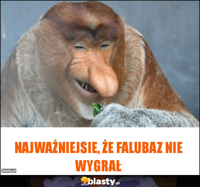 Najważniejsie, że Falubaz nie wygrał Najważniejsie, że Falubaz nie wygrał