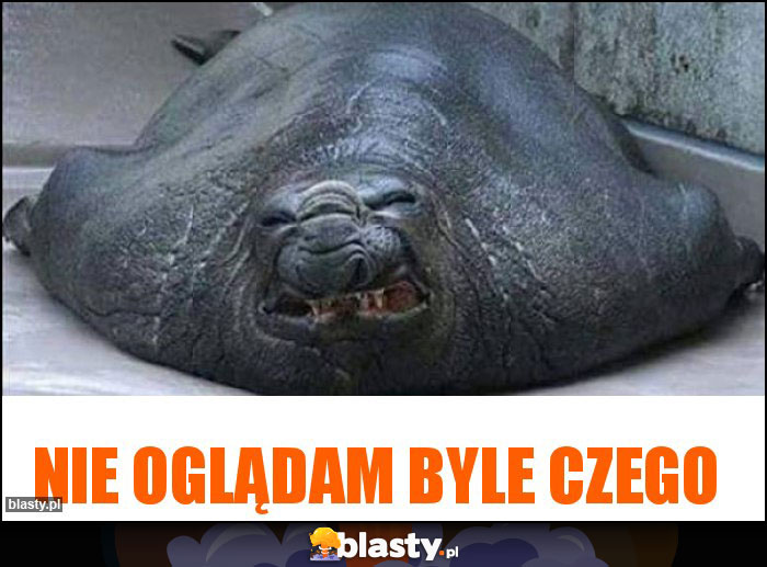 Nie oglądam byle czego Nie oglądam byle czego