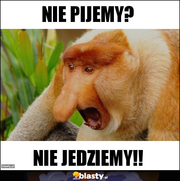 Nie pijemy? Nie pijemy?