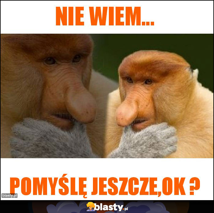 Nie wiem... Nie wiem...