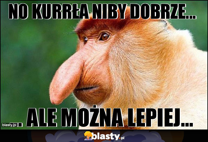 No kurrła niby dobrze... No kurrła niby dobrze...