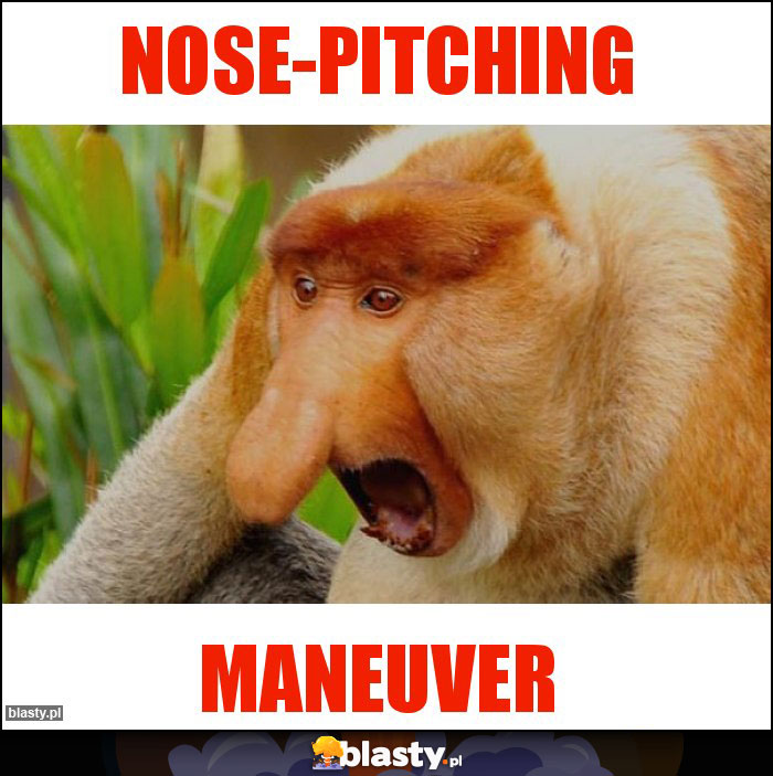 nose-pitching