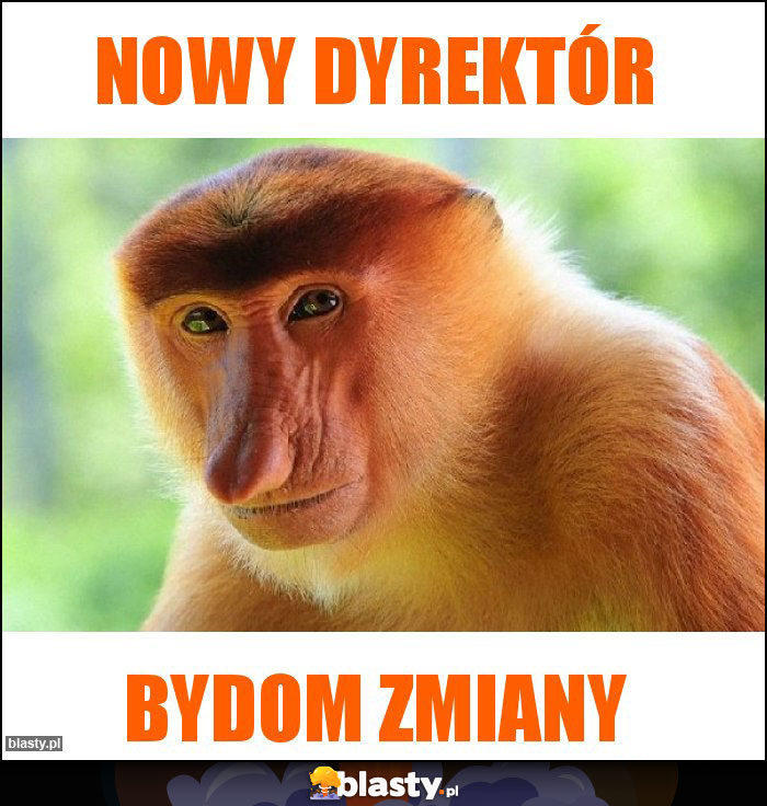 Nowy Dyrektór Nowy Dyrektór